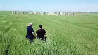 Нуфарм Україна - сильні як ніколи