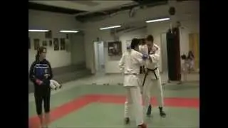 Training Fighting System Chôku Miyabi Ju-Jutsu Ryu Meyrin