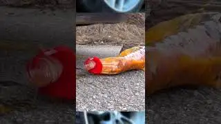 Crushing Crunchy & Soft Things by Car! #shorts #crushing #asmr #crunchy