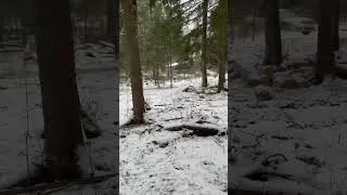 Подъезд к пятну застройки ограничен!что делать? 