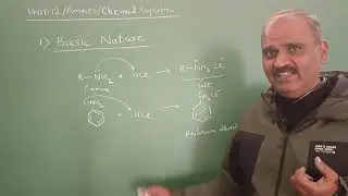 Amines-Phy.Props n Basicity