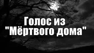 Голос из 