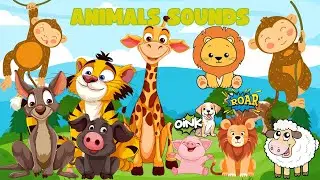 Top Animal Sounds for Kids | Fun Farm & Jungle Noises | Educational Nursery Rhymes 2024