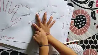 Fingers Name For Kids Thumb, Index, Middle, Ring, Little Finger Home School Activity