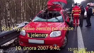 reportáž(report od the Wolf Watch on the migration od wolves from Ralsko to the Lusatian Mountains