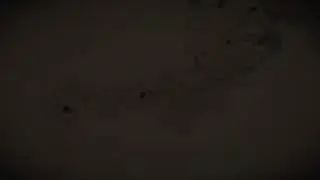 РдР