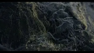 9 марта 2024 г.