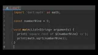 Structure of a basic Dart Program in Dart Programming Language