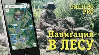 How to avoid getting lost in the forest. Galileo Pro