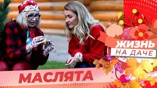 Маслята на даче. Где, как и когда сажать грибы!