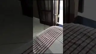 PERIGO!!! COBRA ENTRA NA CASA EM DIA DE FAXINA. #perigocobra #cobra #perigos #cuidado