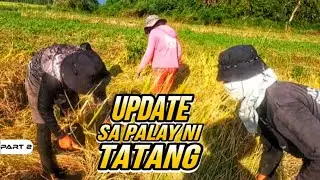 P2 - Baliktarin naman Natin ang mga Palay na Dumapa - EP1563
