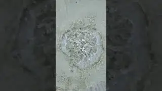 Fresh water spring on the beach