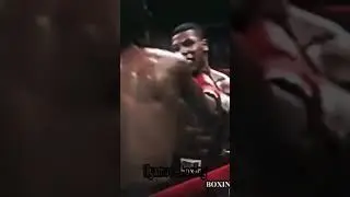 Tyson dancer 😂🥊