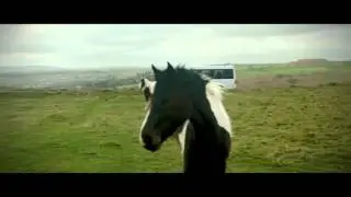 More 4: Dark Horse