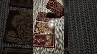 Срочные новости на пороге🌺🌺🌺🌺##################