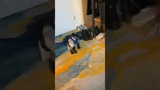 я так чувствую музыку  приколы 2022 
