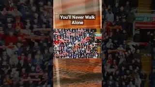 #ynwa You’ll Never Walk Alone #liverpool #brighton #lfc #shorts #shortslfc #shortvideo