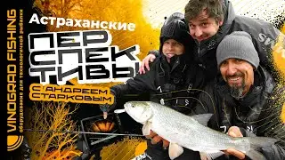 Астраханские перспективы с Андреем Старковым