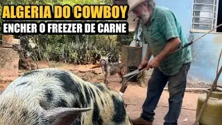 Dia de lida no sítio do dão