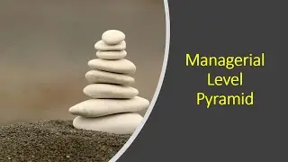 Managerial Pyramid | Management Levels | Principles of Management | Best Engineer