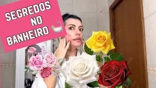 O PODER DAS ROSAS PARA A BELEZA!!! 🌹