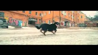 Матвеева Мария