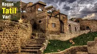 Koşun Tatil Var - Trend Mobilya
