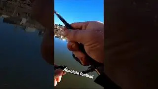 caught a football of a Striped Bass. #fishing #shorts #youtubeshorts #like #fish #ytshorts #iowa