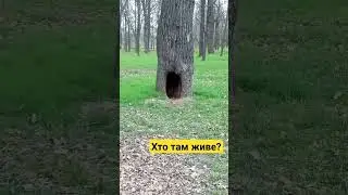 Хто там живе?