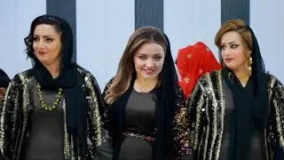 Kurdish weddings | Best Kurdish Dance 2023 | Halparke zamawand