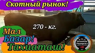 🐂МАЛ БАЗАР🐄Скотный рынок!