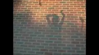 Snake Fire Dancer Montage