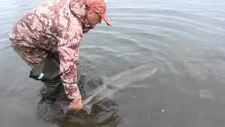 Рыбалка на Сахалине!