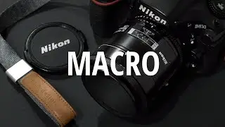 NIKON MACRO LENS - 55mm Micro Nikkor f/2.8 AF Review