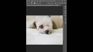 Clone Source #photoshop  #photoshoptutorial