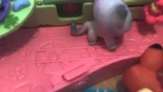 lps pet lover