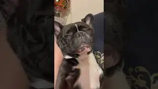 Полный балдёж.😃😇
