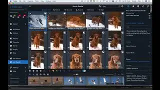 Mylio to Capture 1 or DXO PhotoLab