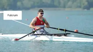 Edexcel GCSE PE Lever Systems