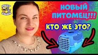 НОВЫЙ ПИТОМЕЦ / КАК НАЗВАЛИ? / ГРЫЗУНЯШКИ