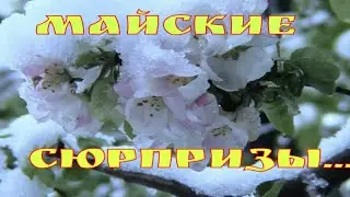 Майские сюрпризы