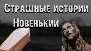 Страшные истории. Новенький. Страшилки на ночь.