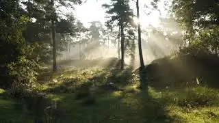 lord krishna flute music ,Morning Flute Music, Krishna Theme, (बाँसुरी)