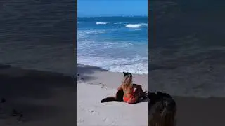 Brazilian Adventure - Relaxing Beach ASMR
