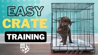 3 Easy Crate Training Tips so your pup learns to love their crate.