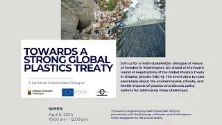 Towards A Strong Global Plastic Treaty