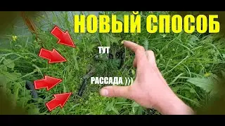 💥НОВЫЙ СПОСОБ💥 ПОСАДКИ РАССАДЫ ☢ В ЗАЩИТНЫЕ ПОЛЯНКИ ☢