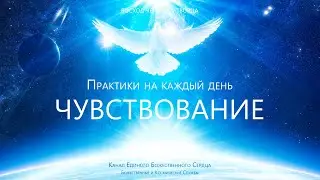 Практики на каждый день - Концентрация внимания и чувствование энергий
