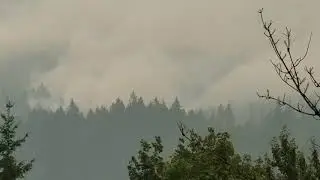 Eagle Creek Fire
